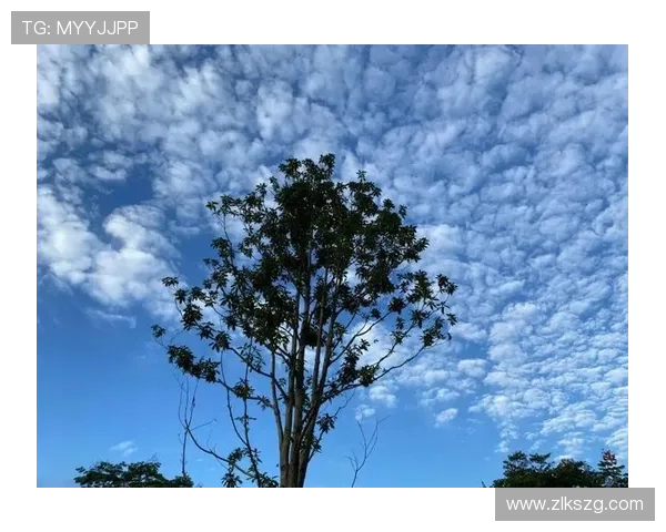 云开之后,天色逐渐放晴,象征未来光明无限前景绚丽多彩 云开之后,天色逐渐放晴,象征未来光明无限前景绚丽多彩