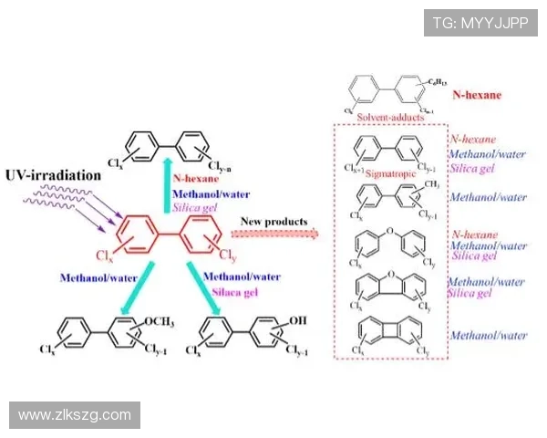 尊龙体育游戏平台不断创新，推出多种优惠活动，增强用户的参与感和平台粘性