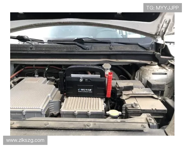 尊龙d88国际厅优惠活动常见问题解答帮助玩家轻松应对