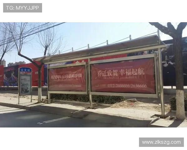 深度剖析尊龙d88会员登录的安全性与用户隐私保护措施