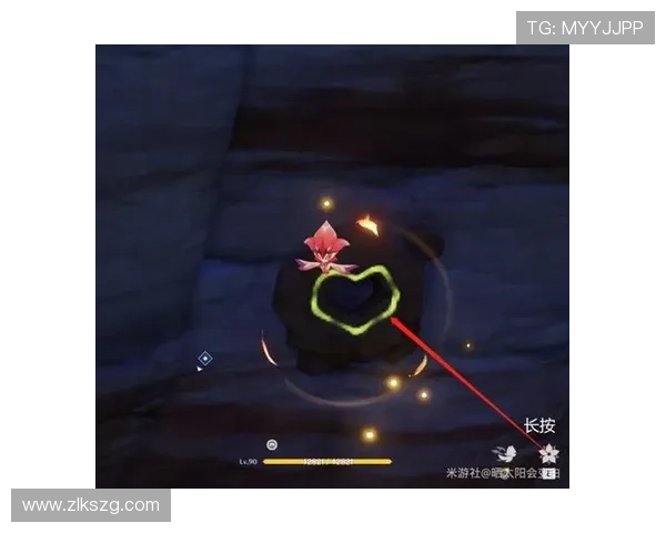 星空体育平台官网入口稳定性分析与优化建议全攻略